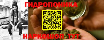 прущие крисы Краснокаменск