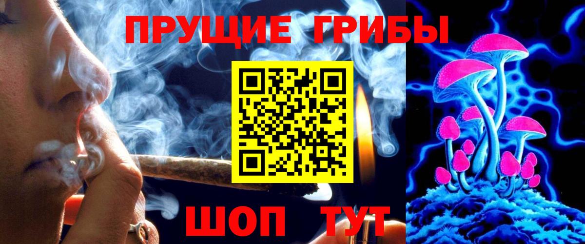 Псилоцибиновые грибы Psilocybine cubensis Заводоуковск